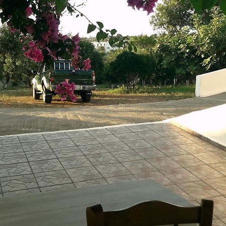 Livadi  Theofilos Appartements חדר תמונה
