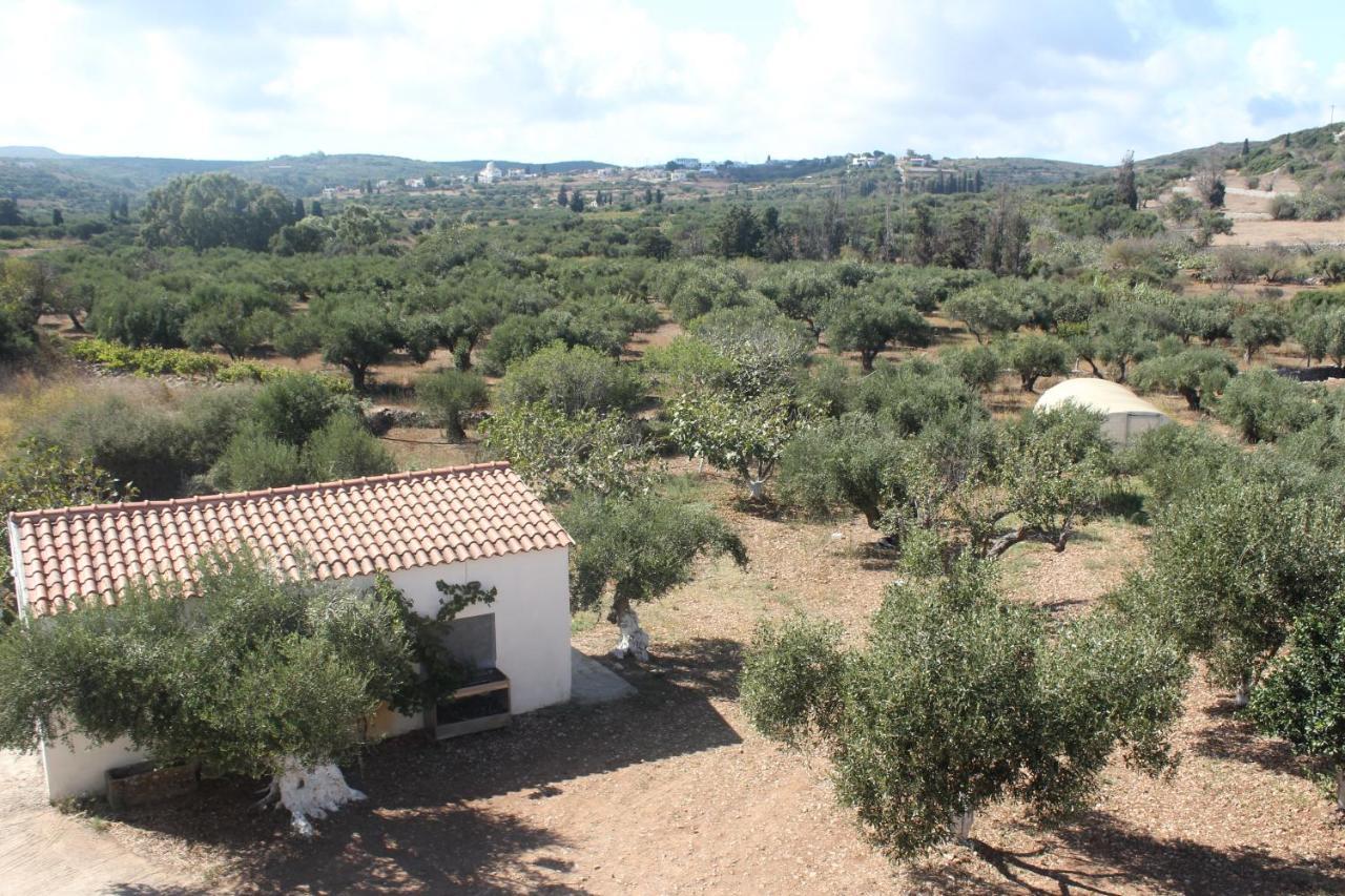 Livadi  Theofilos Appartements מראה חיצוני תמונה