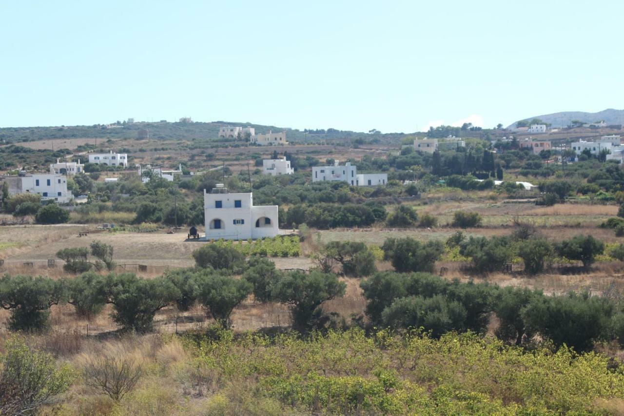 Livadi  Theofilos Appartements מראה חיצוני תמונה